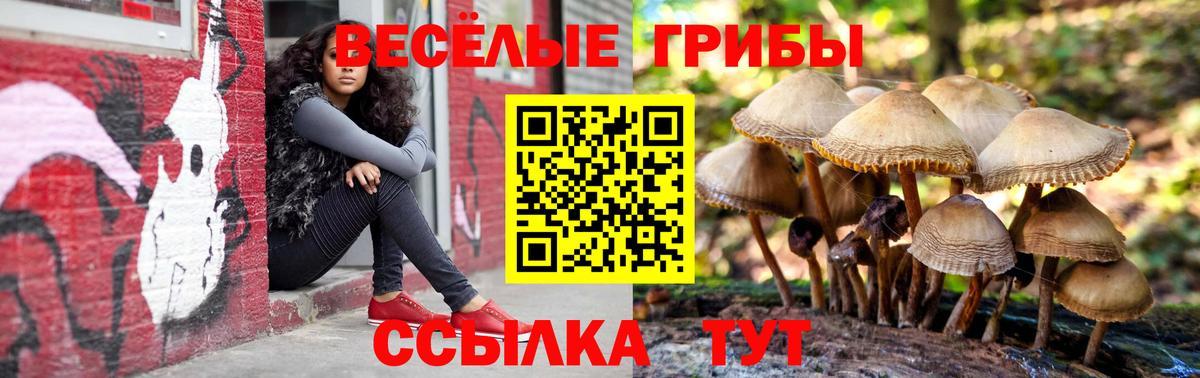 Галлюциногенные грибы ЛСД Мирный